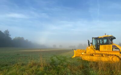 New Pitch Development